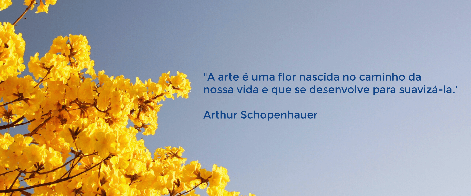 Texto A arte é uma flor nascida no caminho da nossa vida e que se desenvolve para suavizá-la. De Arthur Schopenhauer ao lado direito e ao lado esquedo flores amarelas